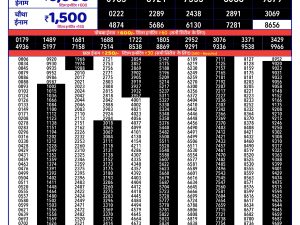 Rajshree Result 150 Monthly Lottery 11 06 2026