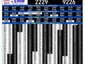 Rajshree Result 300 Monthly Lottery 16 06 2026