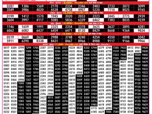 Rajshree Result 500 Monthly Lottery 11 08 2026