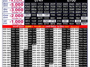 Rajshree Result 250 Monthly Lottery 04 08 2026