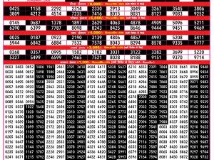 Rajshree Result 500 Monthly Lottery 08 09 2026