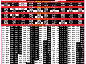 Rajshree Result 500 Monthly Lottery 13.10.2026